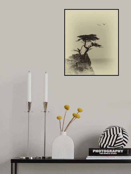 Lonely Tree Poster och Canvastavla
