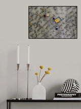 Flood water has damaged crops Poster och Canvastavla