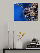 Deep sea coral dive Poster och Canvastavla