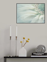 Soft Poster och Canvastavla