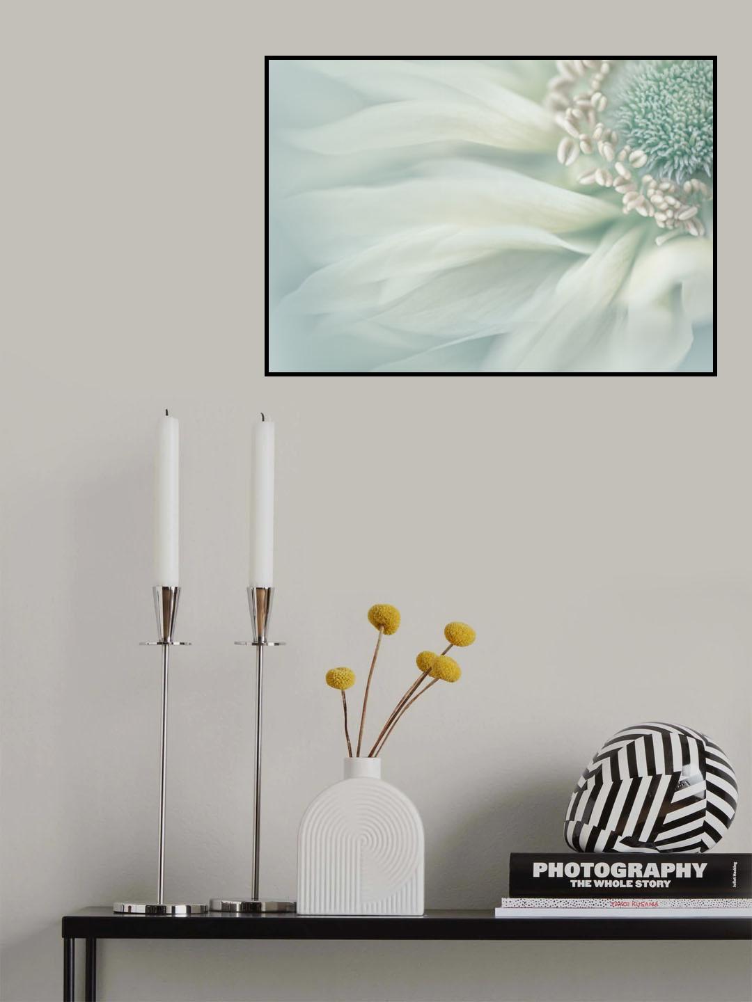 Soft Poster och Canvastavla