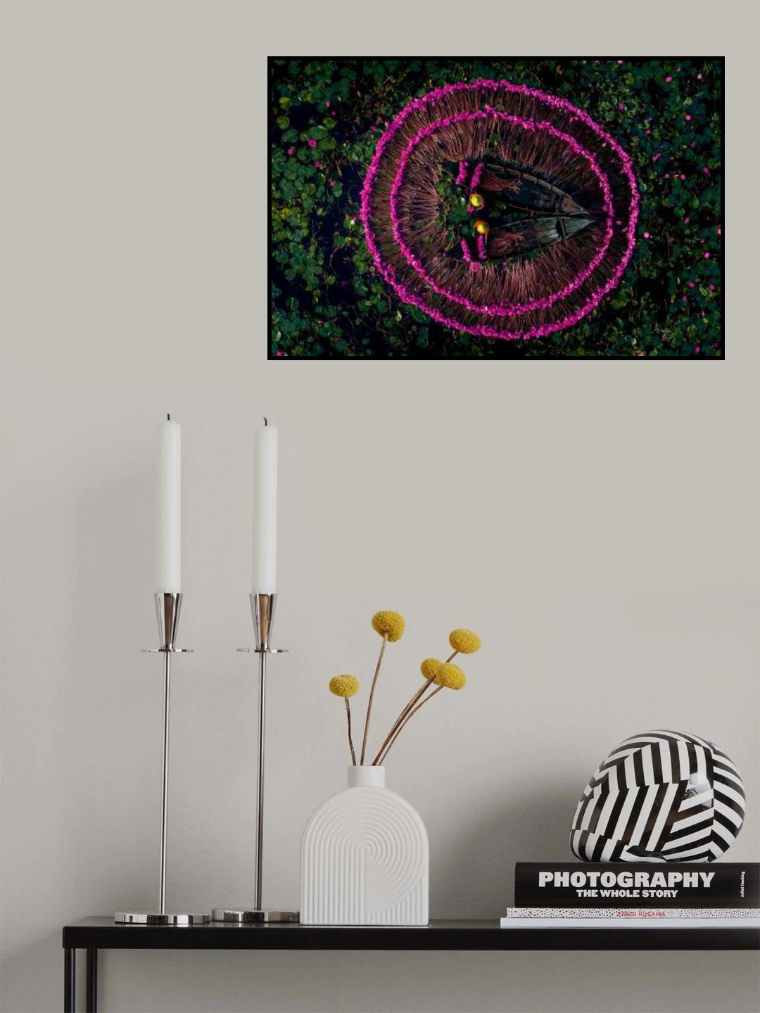 Harvesting water lilies Poster och Canvastavla