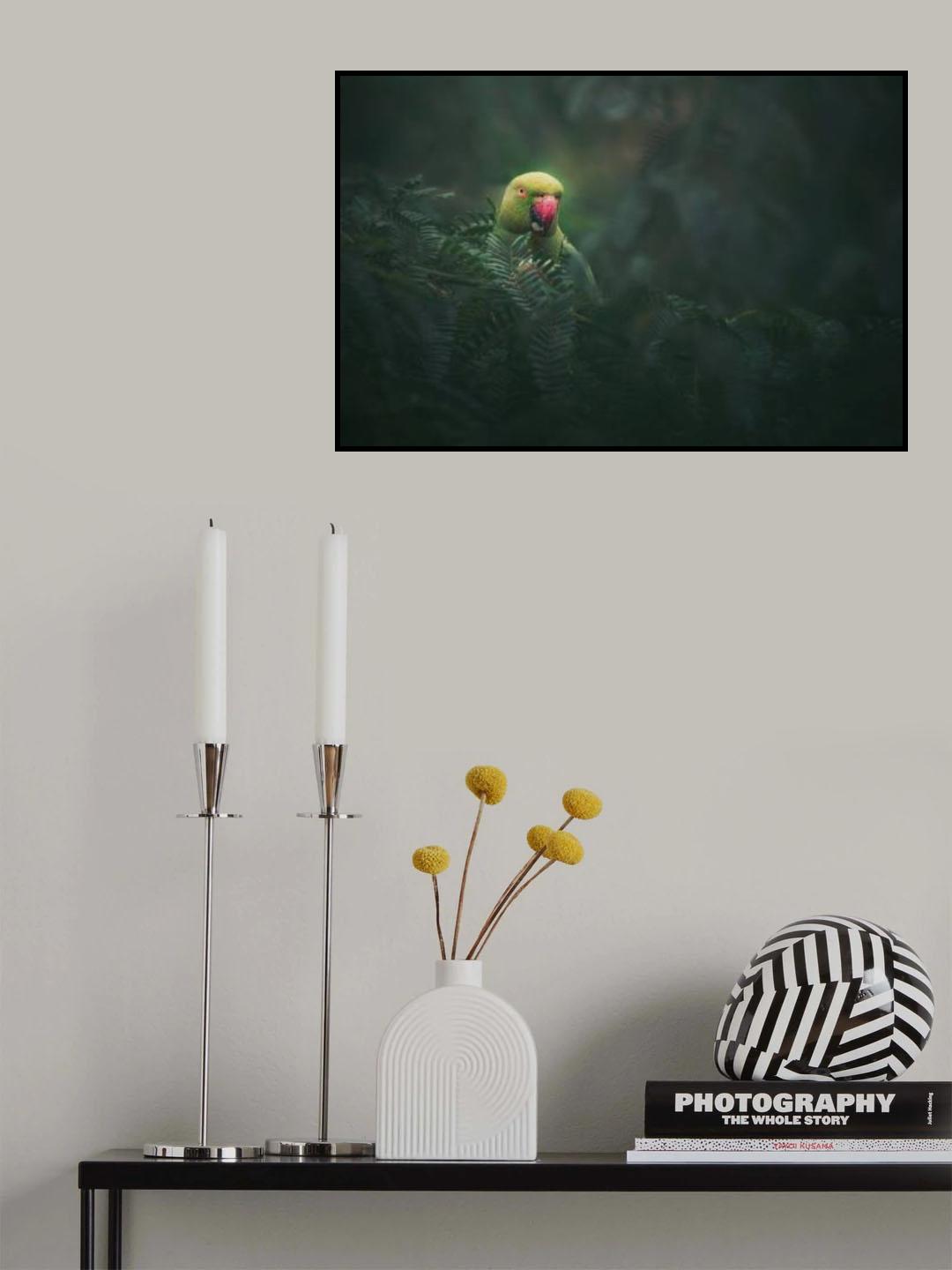 Rose-Ringed Parakeet Poster och Canvastavla