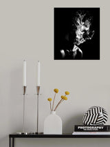 n/t Poster och Canvastavla