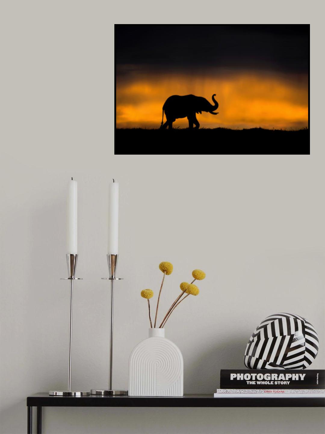 Elephant smelling the storm Poster och Canvastavla