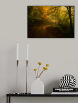 Way in autumn Poster och Canvastavla