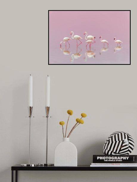 Flamingos Poster och Canvastavla