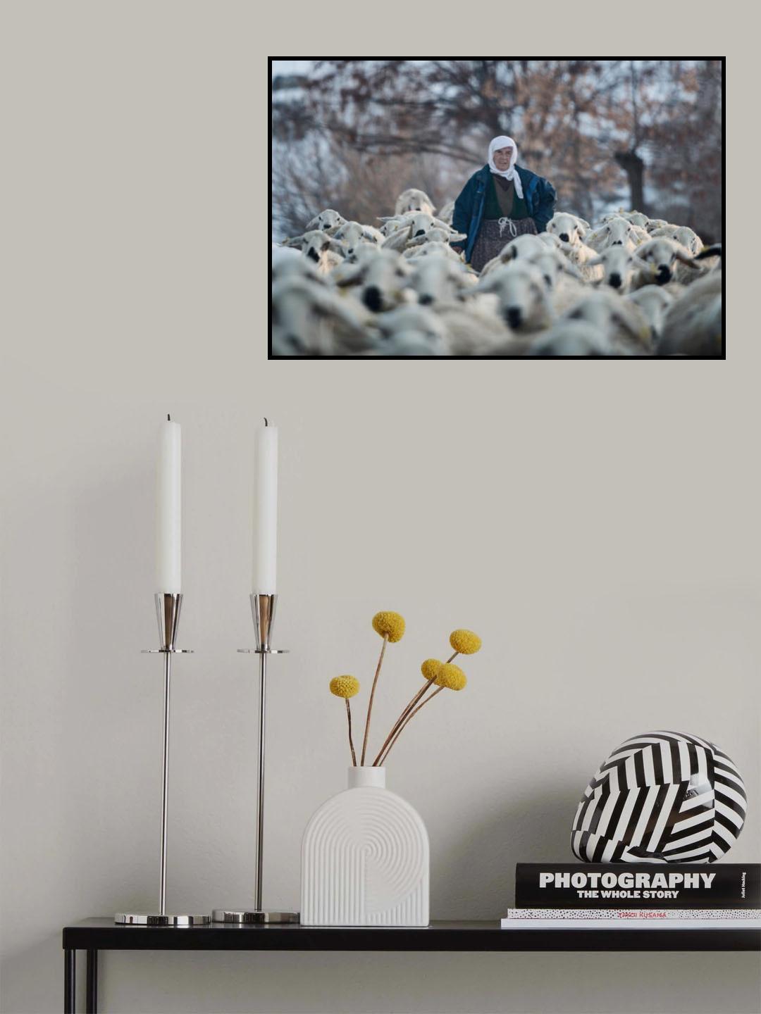 Taking Them Home Poster och Canvastavla