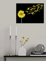 Blowing In The Wind Poster och Canvastavla