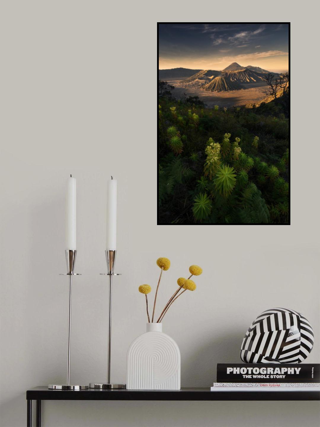 bromo volcano national park Poster och Canvastavla