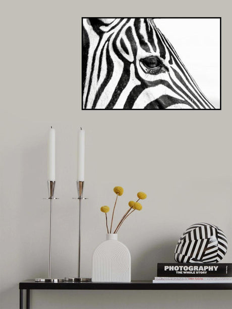 Zebra In Black & White Poster och Canvastavla
