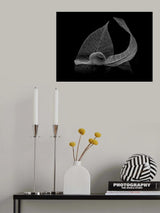 Curve Poster och Canvastavla