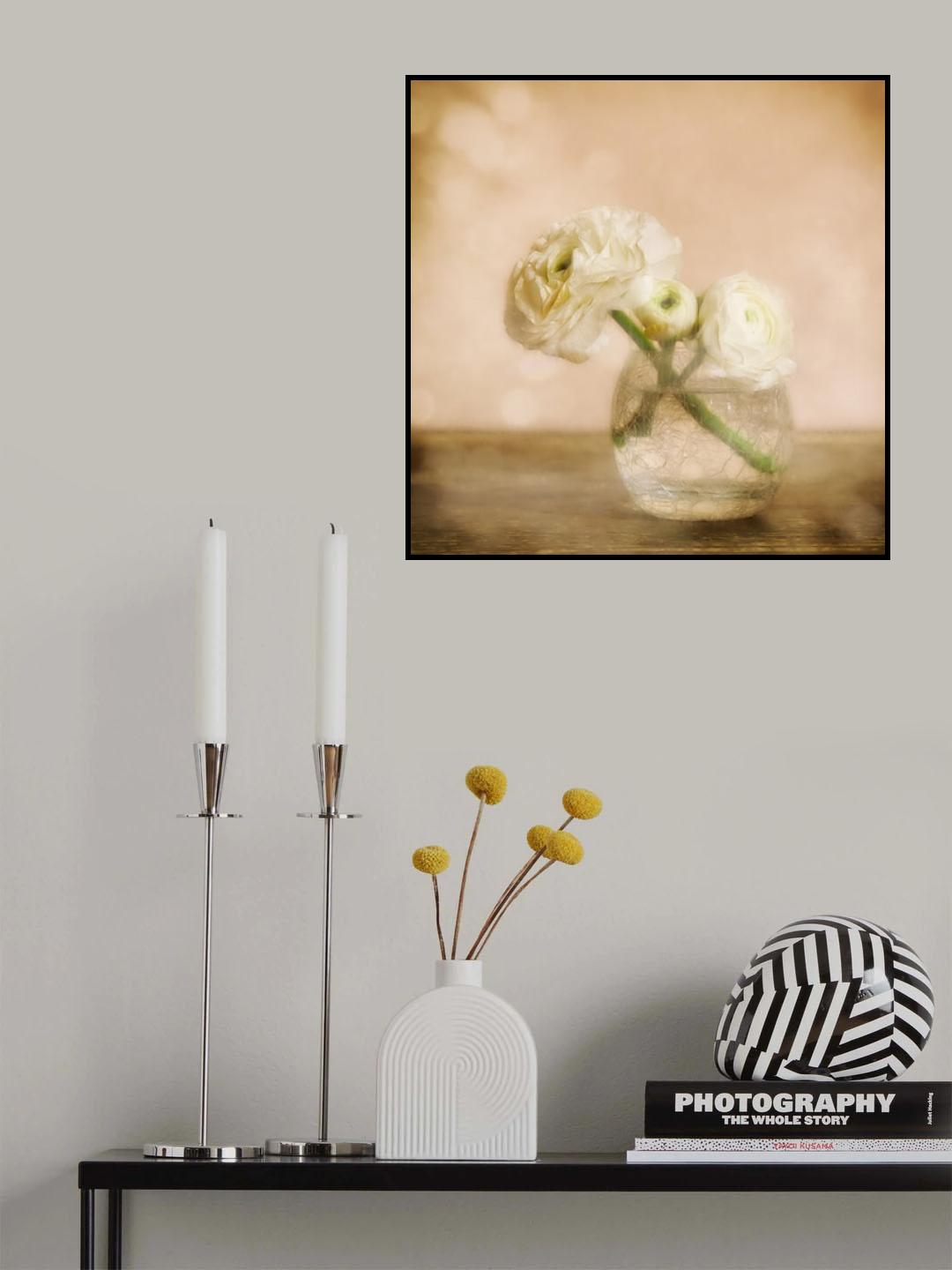 Renoncules Poster och Canvastavla
