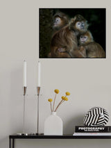 Family Poster och Canvastavla