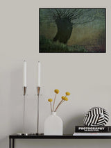 Willow on the waterfront Poster och Canvastavla