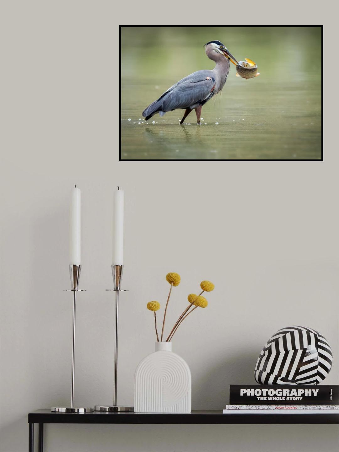 Poster och Canvastavla