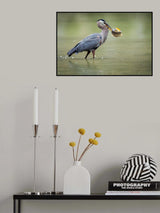 Poster och Canvastavla