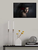 The red rose Poster och Canvastavla