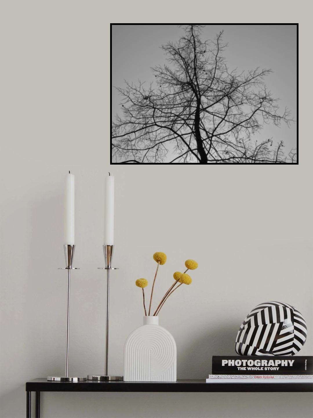 a burned tree Poster och Canvastavla
