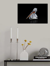 Dalmatian Pelican Poster och Canvastavla