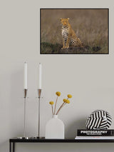 the beauty Poster och Canvastavla