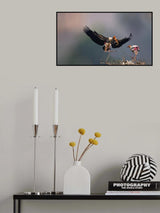 The painted stork  family Poster och Canvastavla