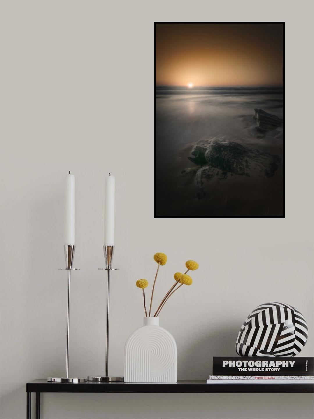 The Rise of the Rock Turtle Poster och Canvastavla