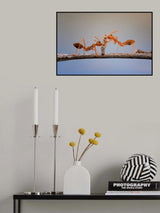 Big Meal Poster och Canvastavla
