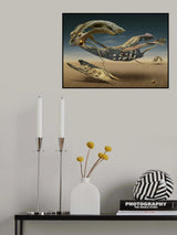 K_214 Poster och Canvastavla