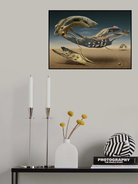 K_214 Poster och Canvastavla