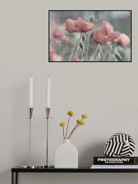 Softly Poster och Canvastavla