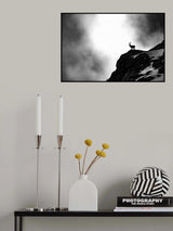 Where ibex dare Poster och Canvastavla