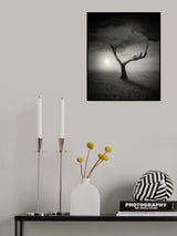 Solos Poster och Canvastavla