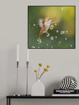 Summer fun Poster och Canvastavla