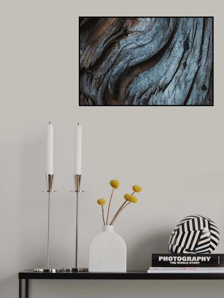 Eucalyptus Texture Poster och Canvastavla