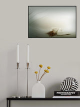 Cocoon I Poster och Canvastavla