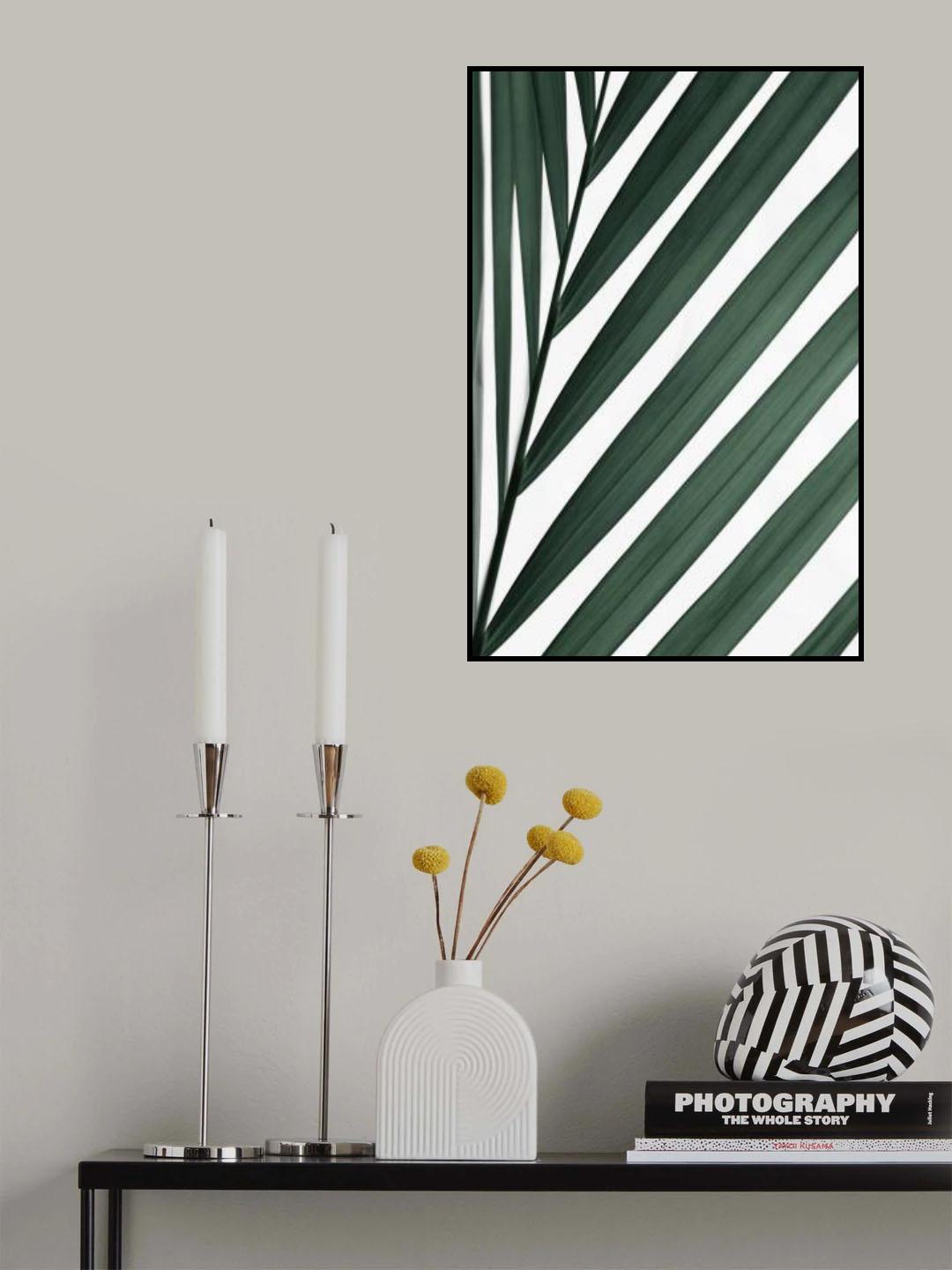 Graphic palm leaf_3 Poster och Canvastavla