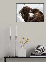 Fight or joke? Poster och Canvastavla