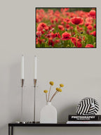 The Light Behind Poster och Canvastavla