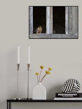 the falcon in the castle Poster och Canvastavla