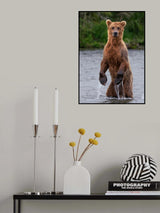 Look at me Poster och Canvastavla