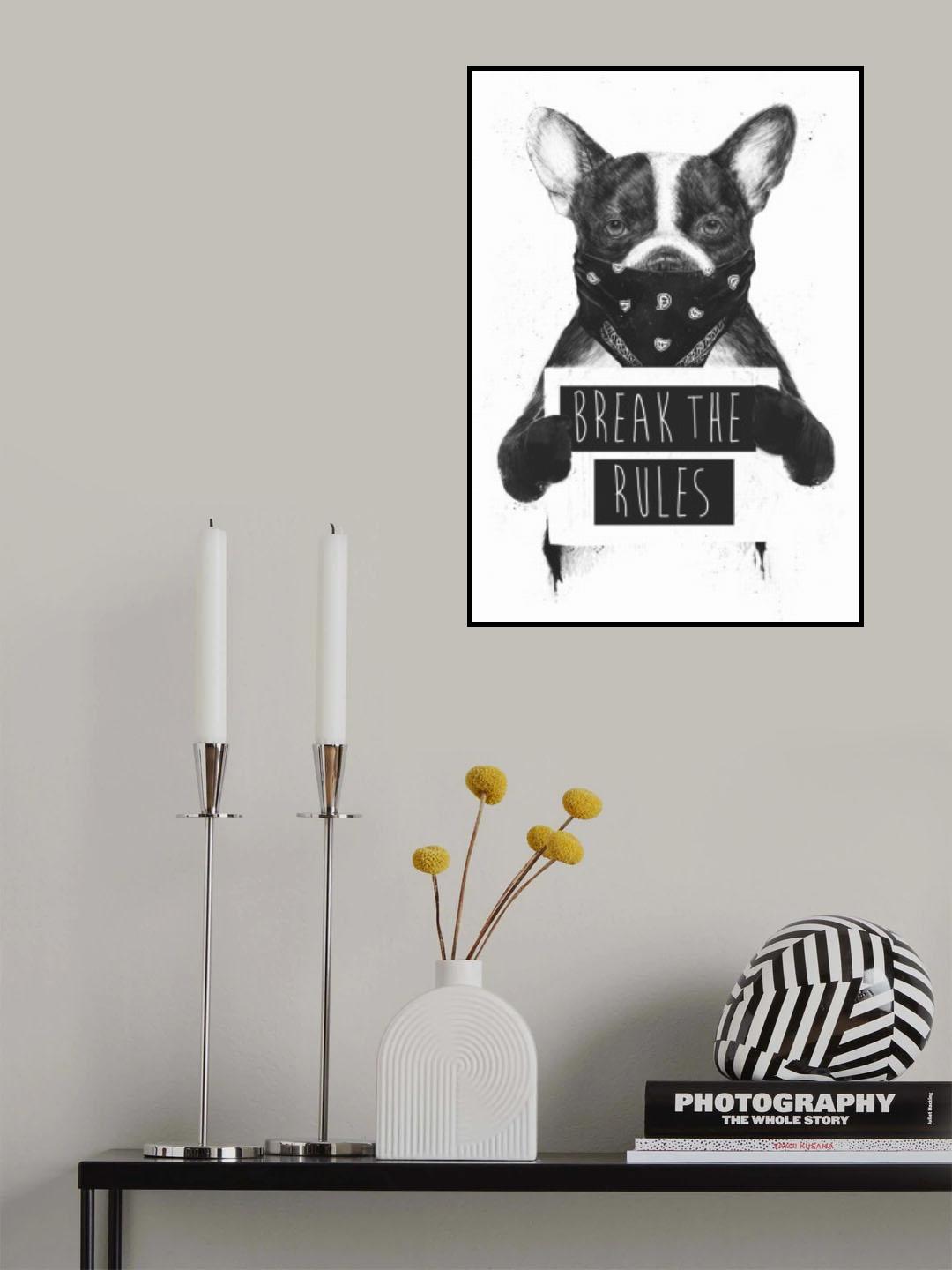 Rebel dog Poster och Canvastavla