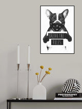 Rebel dog Poster och Canvastavla