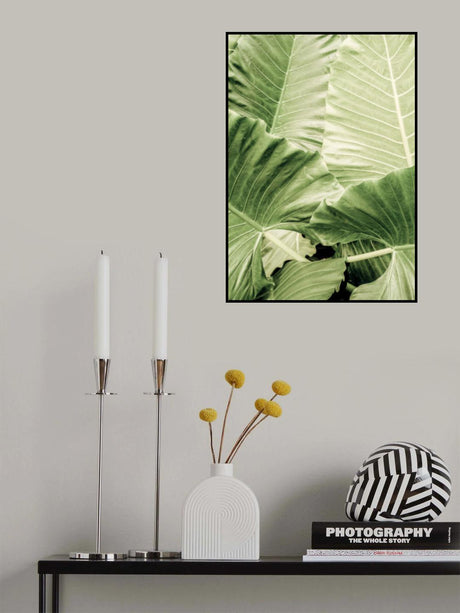 Jungle Fever Poster och Canvastavla
