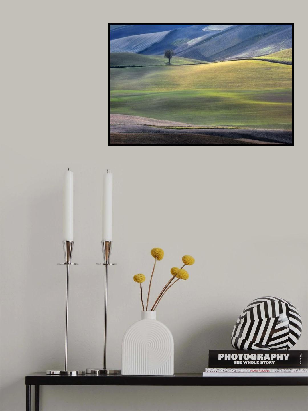 Wonderland Poster och Canvastavla