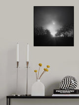 Jin Jang Days Poster och Canvastavla