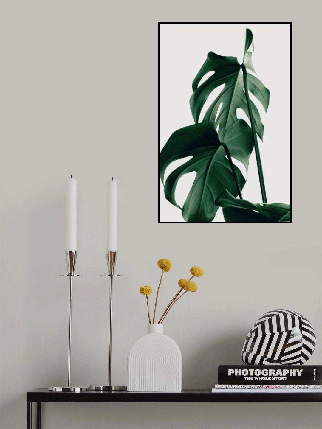 Monstera Natural 26 Poster och Canvastavla