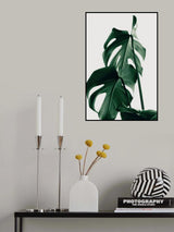 Monstera Natural 26 Poster och Canvastavla