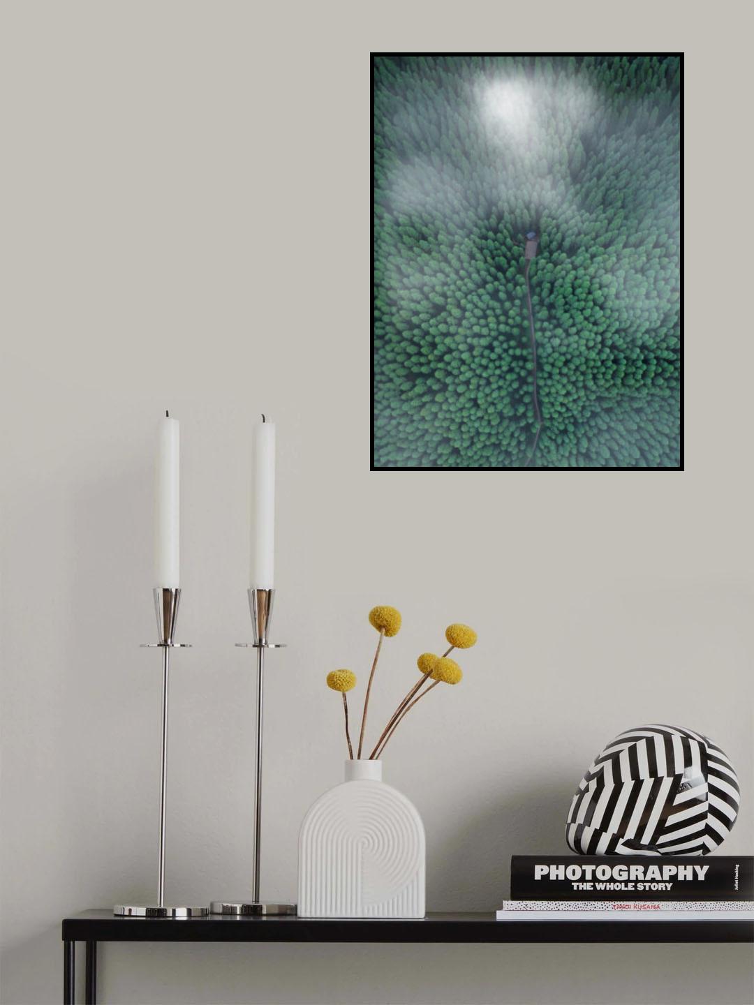 Zhongba Forest Poster och Canvastavla
