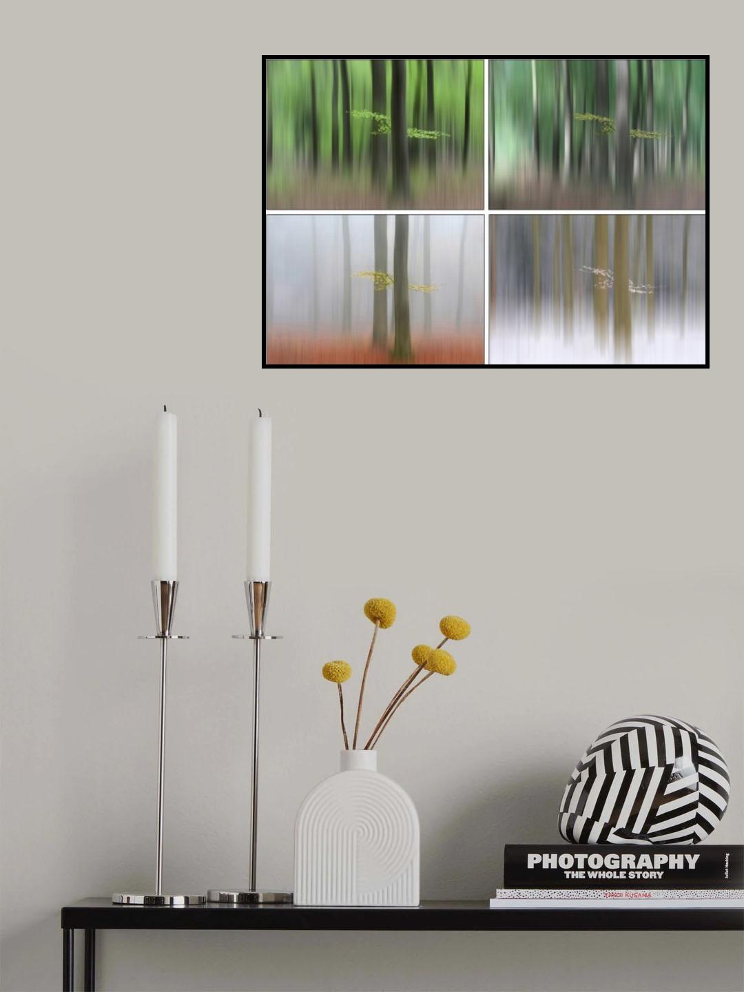 Quattro stagioni Poster och Canvastavla
